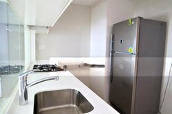 The Lakefront Residences (D22), Condominium #501768061